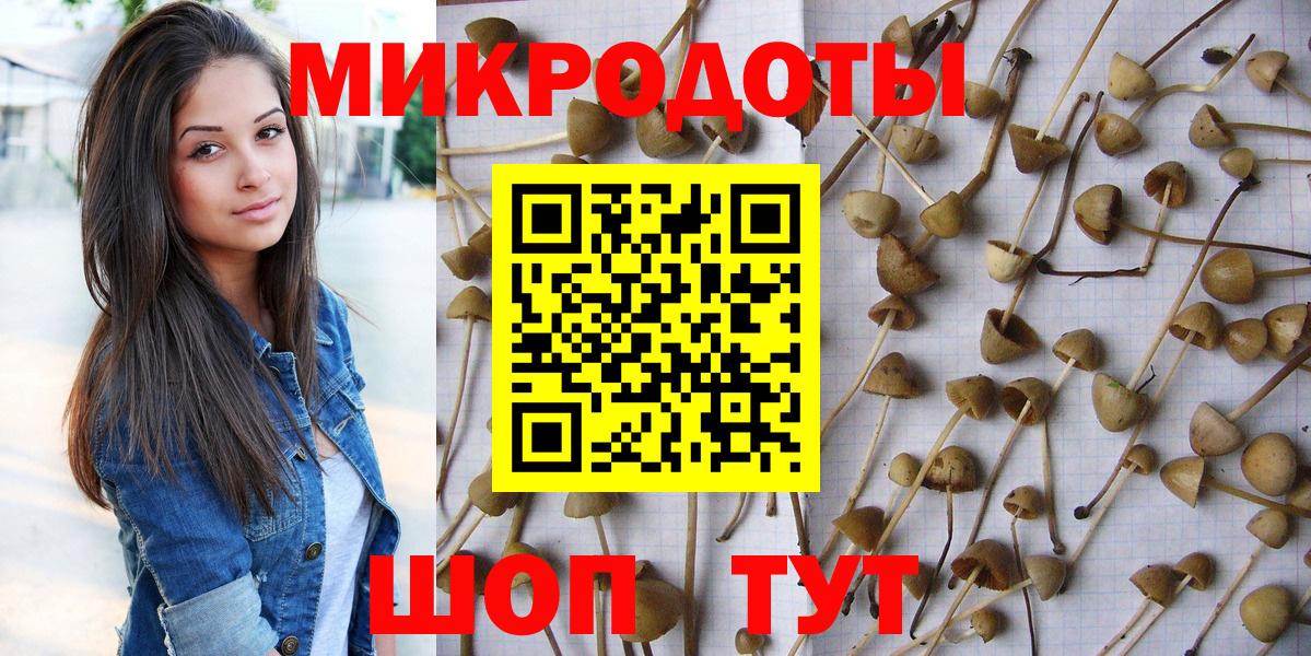 Галлюциногенные грибы прущие грибы Ртищево