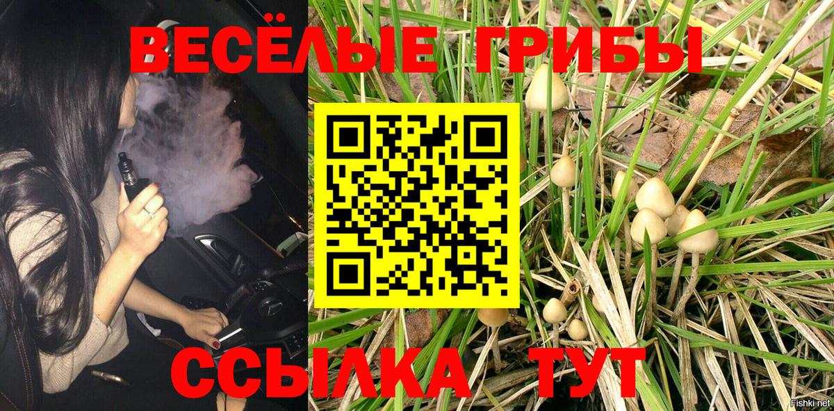 Галлюциногенные грибы Cubensis  Вход с VPN  Ртищево 